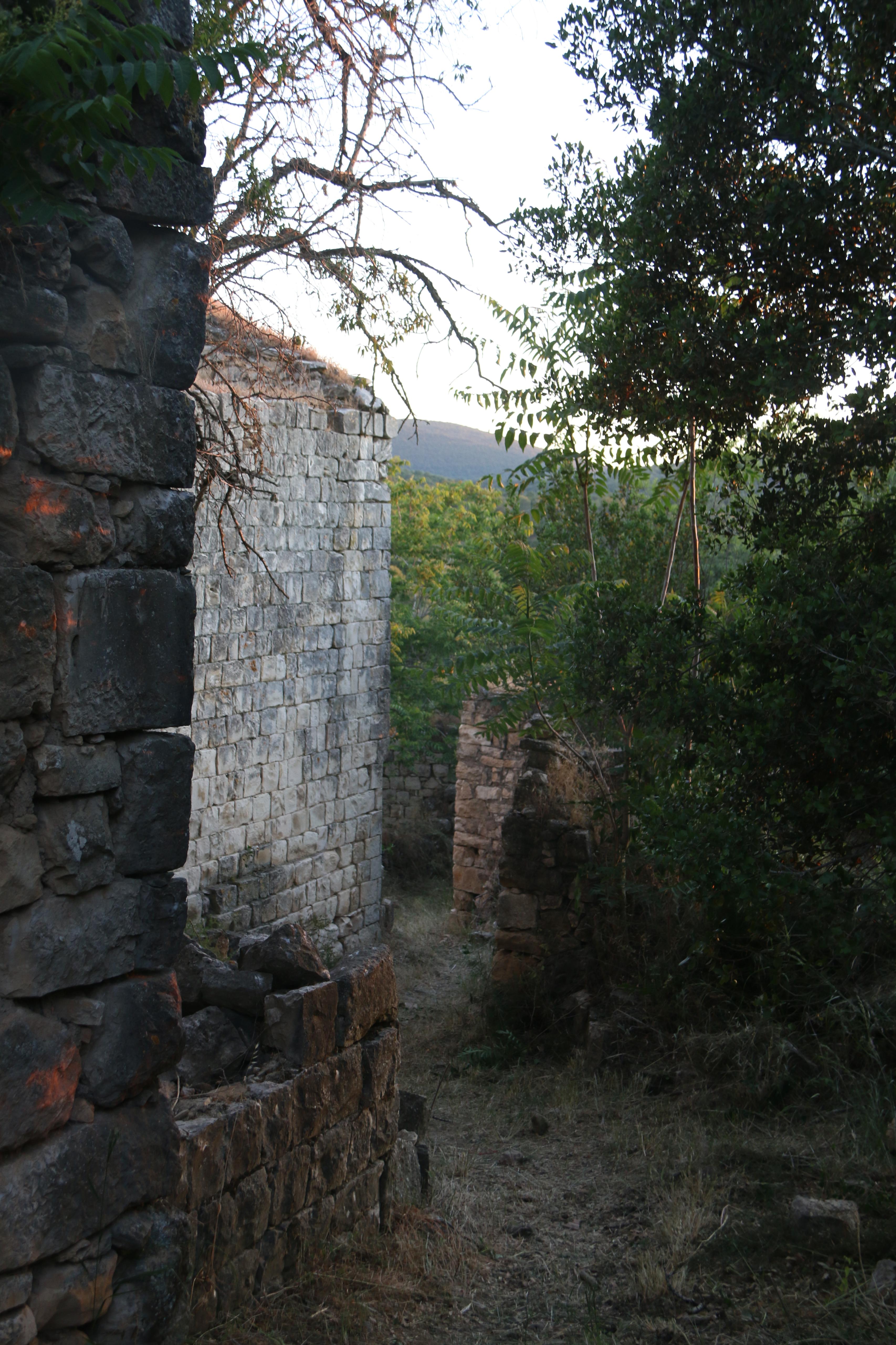 صورة من المخيم 3